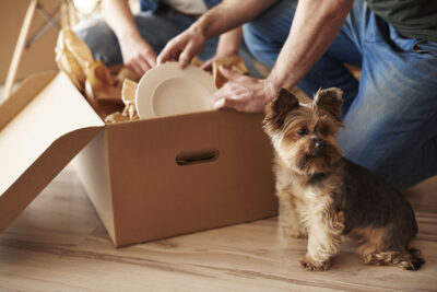 Moving Awkward Items - Pets